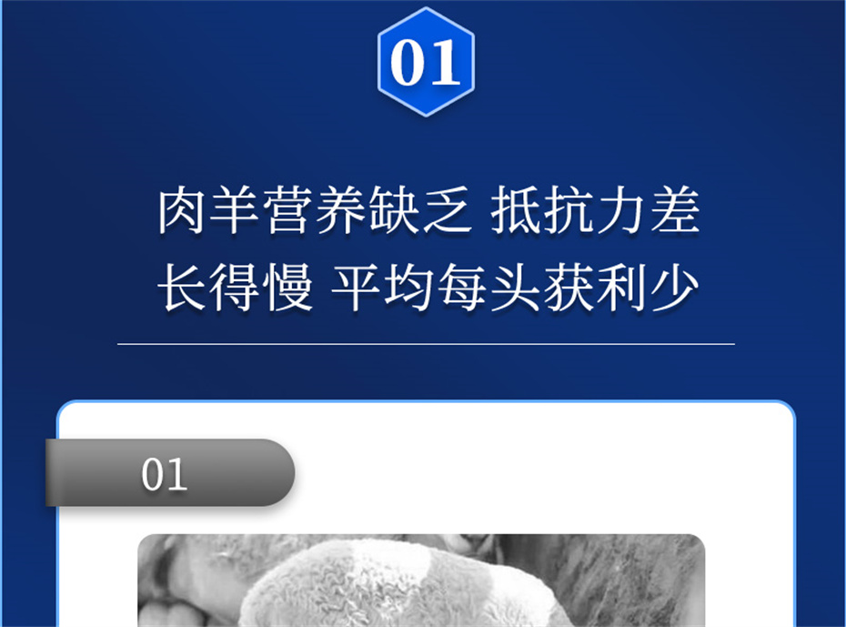 吉隆达动保羊饲料增添剂肉羊多矿产物先容 吉隆达动保羊饲料增添剂肉羊多矿产物先容