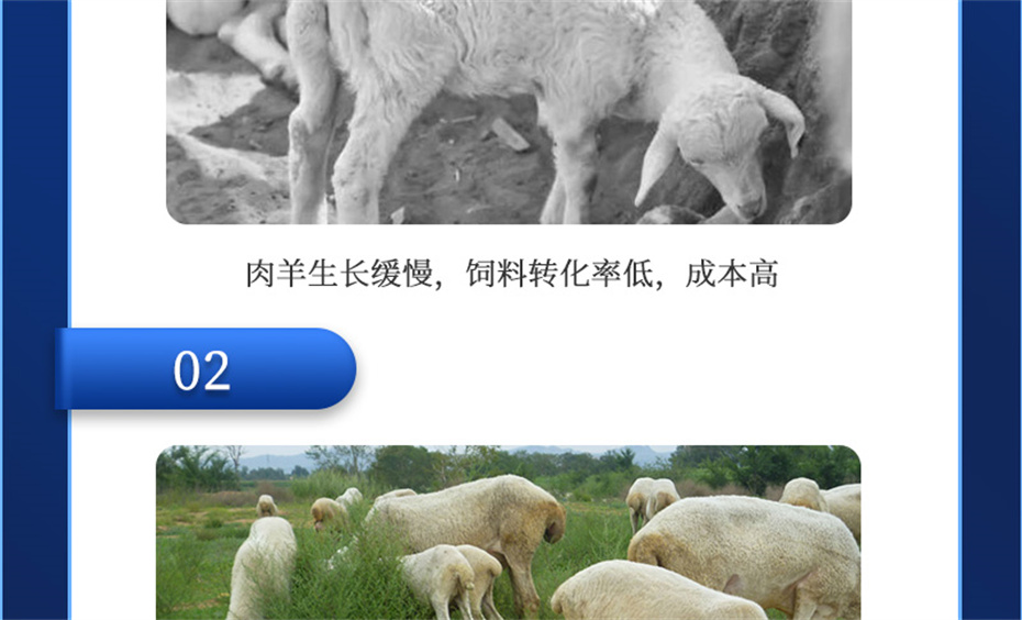 吉隆达动保羊饲料增添剂肉羊多矿产物先容 吉隆达动保羊饲料增添剂肉羊多矿产物先容
