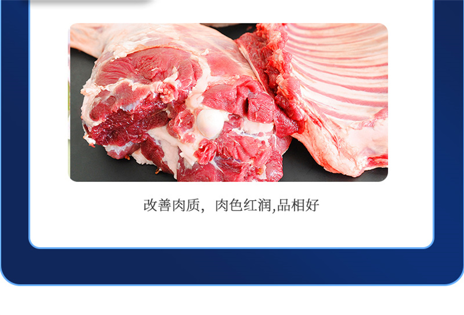 吉隆达动保羊饲料增添剂肉羊多矿产物先容 吉隆达动保羊饲料增添剂肉羊多矿产物先容