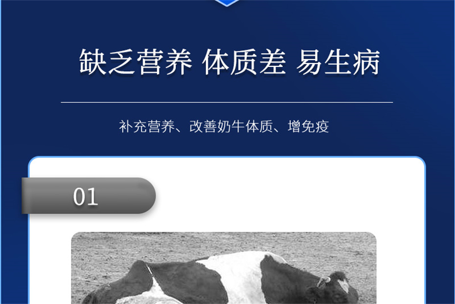 吉隆达动保牛饲料增添剂奶牛多矿产物先容 吉隆达动保牛饲料增添剂奶牛多矿产物先容