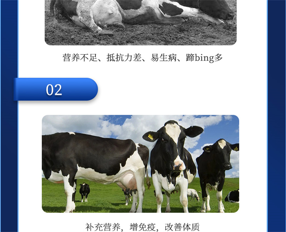 吉隆达动保牛饲料增添剂奶牛多矿产物先容 吉隆达动保牛饲料增添剂奶牛多矿产物先容