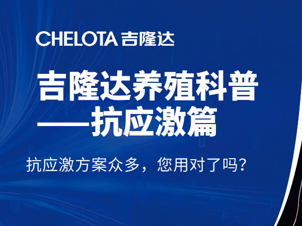 抗应激方案众多 您用对了吗