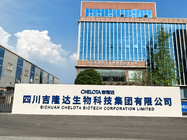 扎根广汉28载——吉隆达发展历程回顾