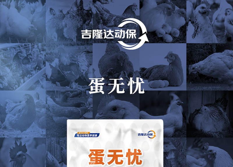 蛋无忧最新概况页_01