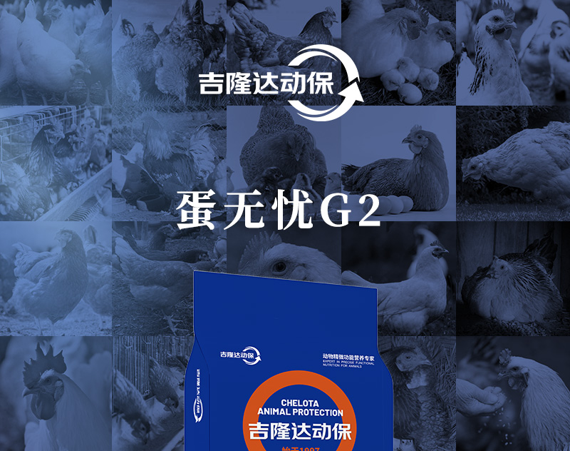蛋无忧G2最新概况页_01