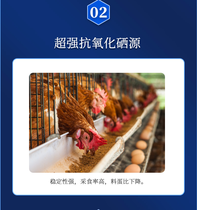 蛋无忧G2最新概况页_04