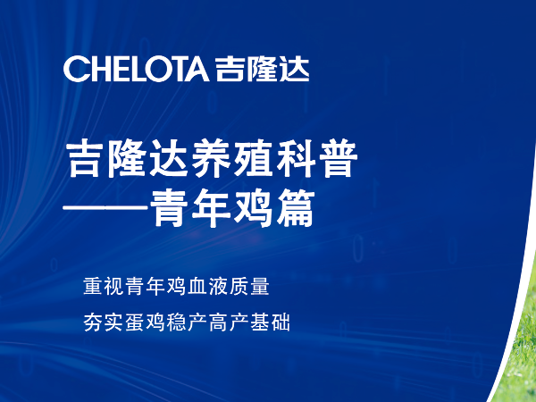 重视青年鸡血液质量，夯实蛋鸡稳产高产基础
