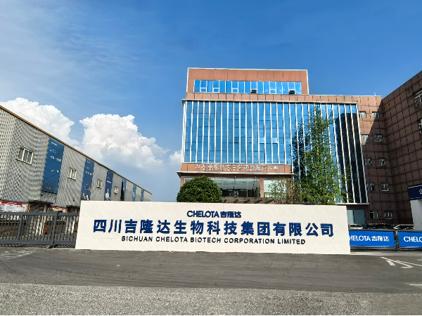 蓄势腾飞——吉隆达发展规划与未来愿景